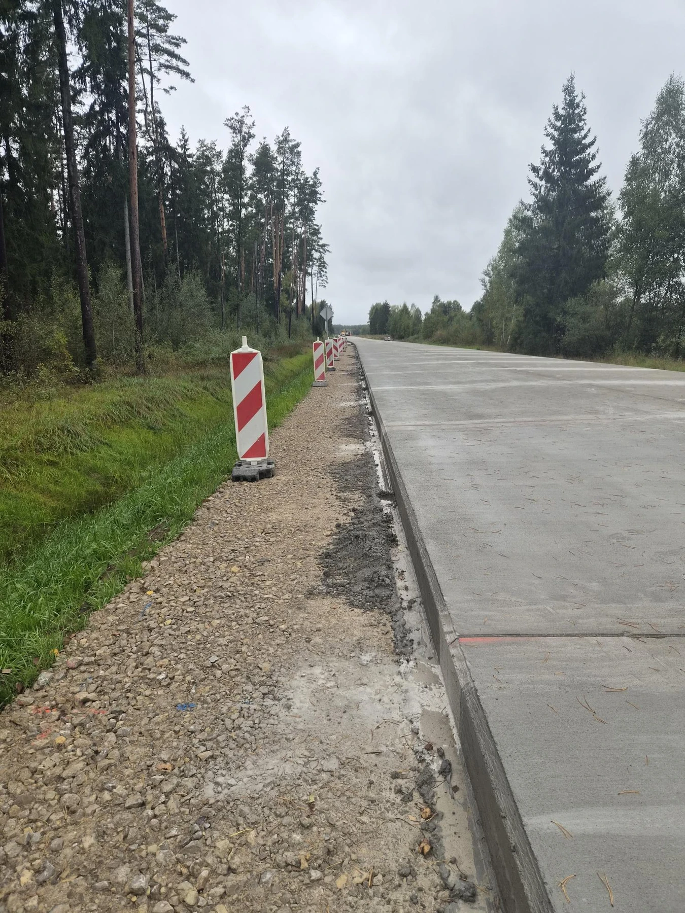 Rūdninkų poligono kelias